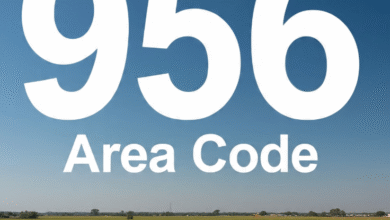 956 area code
