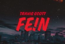 Fein lyrics
