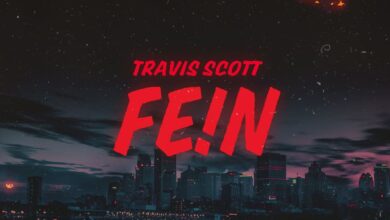 Fein lyrics